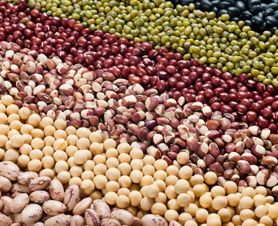 an assortment of legumes, lentils and beans